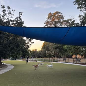 Saratoga Creek Dog Park